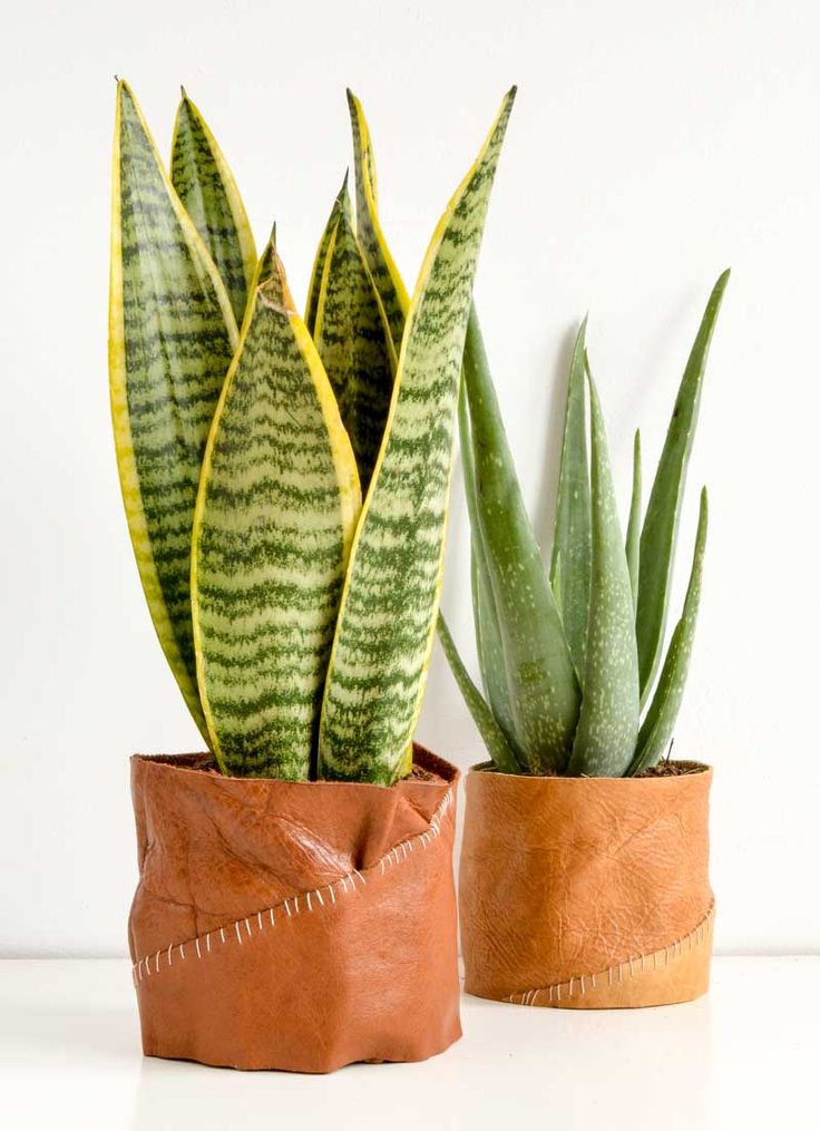 Trendy Ideas For Diy Home Diy Leather Plant Pot Holder