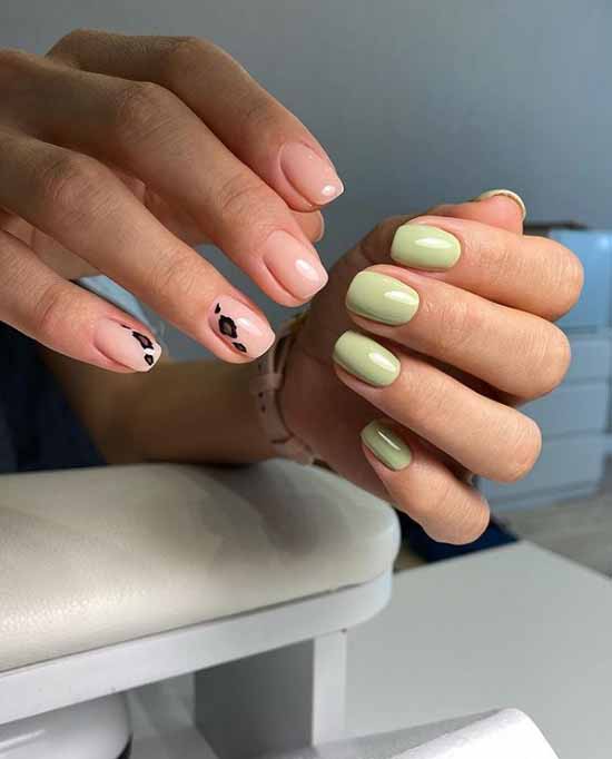 Green manicure 2021: photo of new items with the best nail designs