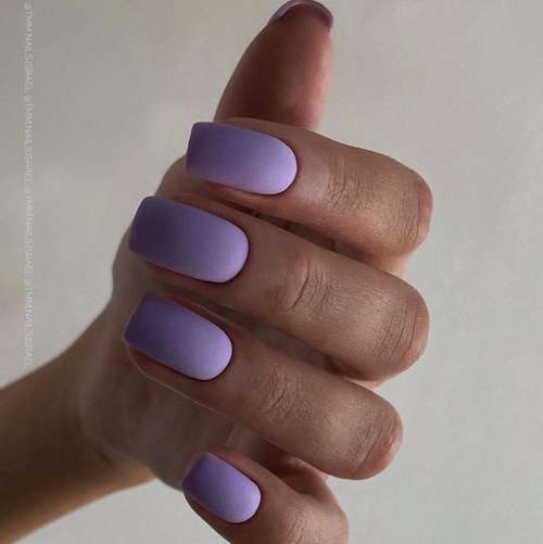 Lilac matte manicure