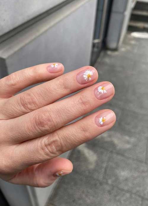 Delicate daisies on nails